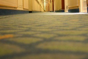Clean carpets in Manhattan area commercial building.
