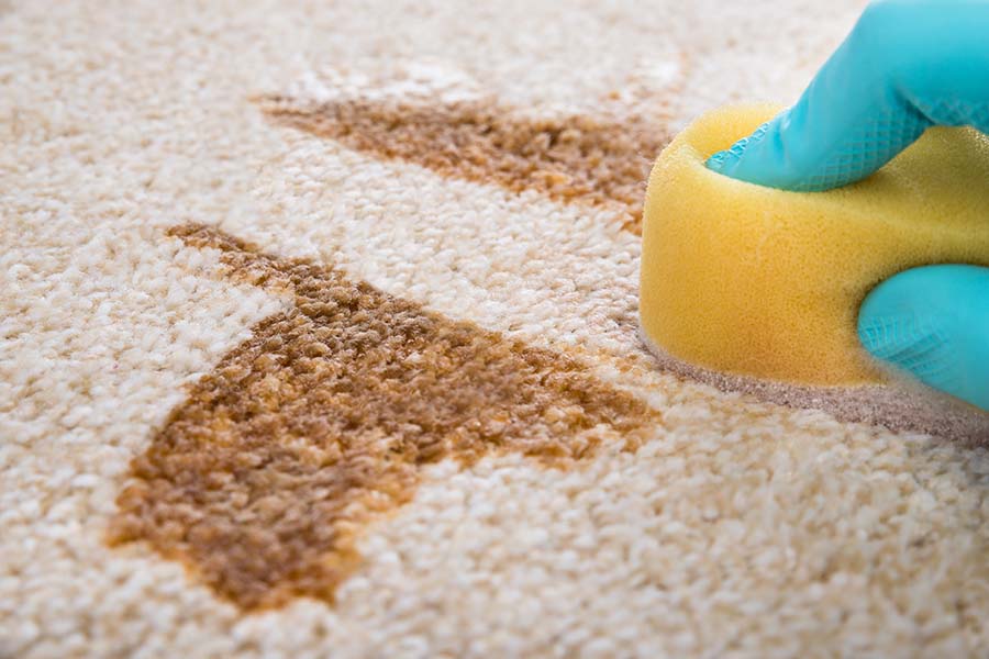 Spot removal services for NYC office carpets.